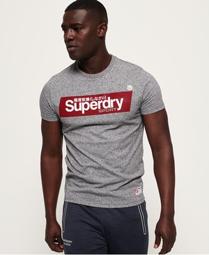 Superdry Speed Box Férfi Pólók Szürke | PQFYG0318